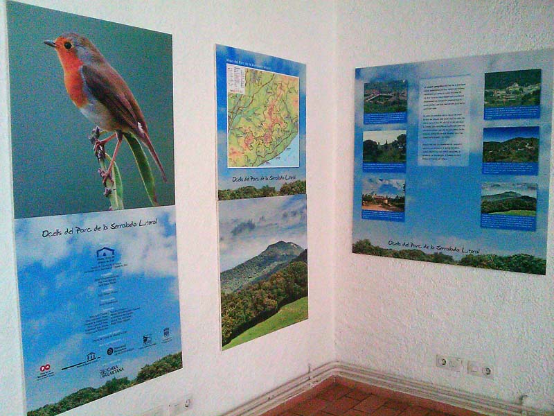 Alguns plafons de l'exposició "Els ocells del Parc de la Serralada Litoral" a Can Xerracan