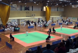 2-12-2007 - XII Torneig de Karate de Sant Sadurní