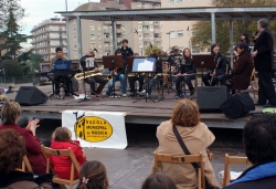 22-11-2008 - Actuació del Grup de Vent de l'Escola Municipal de Musica (Activitats de Santa Cecília)