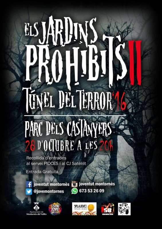 Cartell de l'activitat