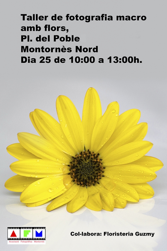 Cartell del taller de fotografia