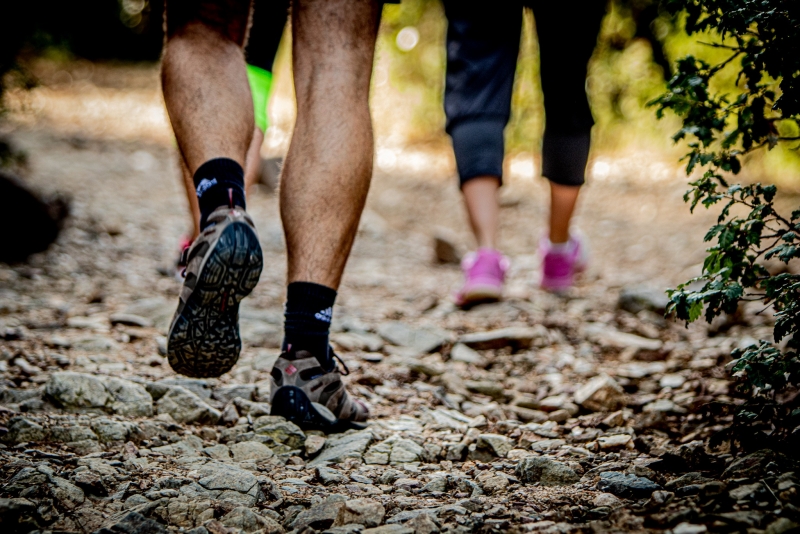 Caminada saludable per Can Parera (Imatge: Associació Excursionista Lleure Montornès)