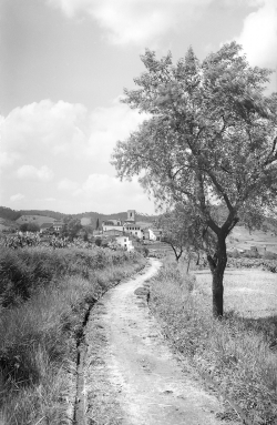 El camí de la Justada o camí Antic de Vallromanes a la dècada de 1950. Autor: Albert Bellós Agulló. IEFC