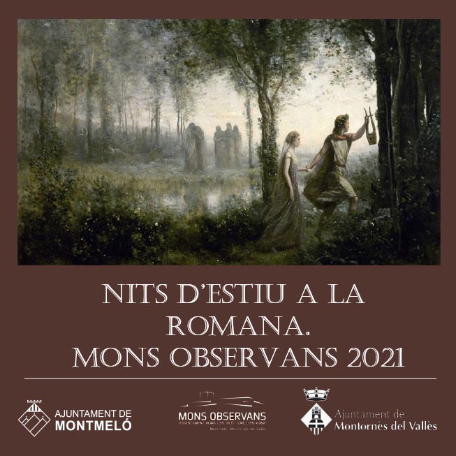 Cartell de l'activitat