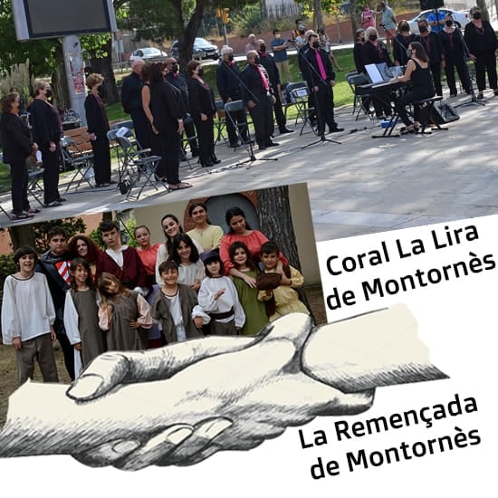 Cartell de l'activitat
