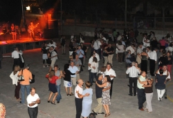 Ball de nit