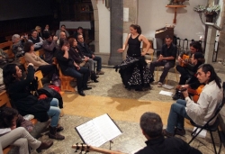 21-11-2009 - Concurs de música flamenca a l'església de Sant Sadurní
