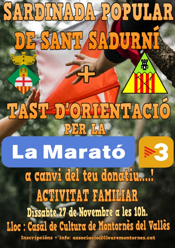 Cartell de l'activitat