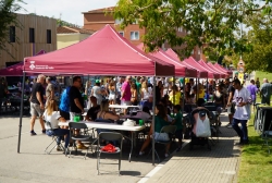 18/09/2022 - Feria del Mediodía
