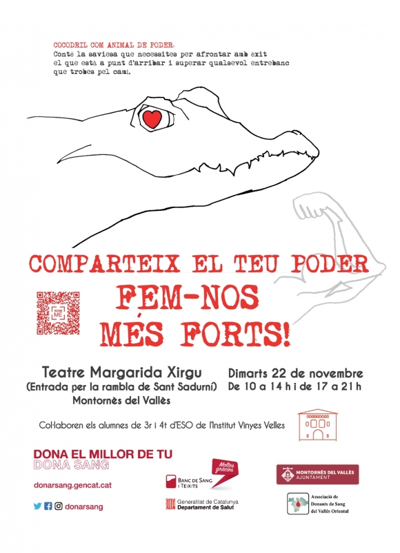 Cartell de l'activitat, elaborat per l'alumnat de l'Institut Vinyes Velles.