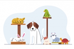 (Imatge: Consell de Col·legis Veterinaris de Catalunnya)
