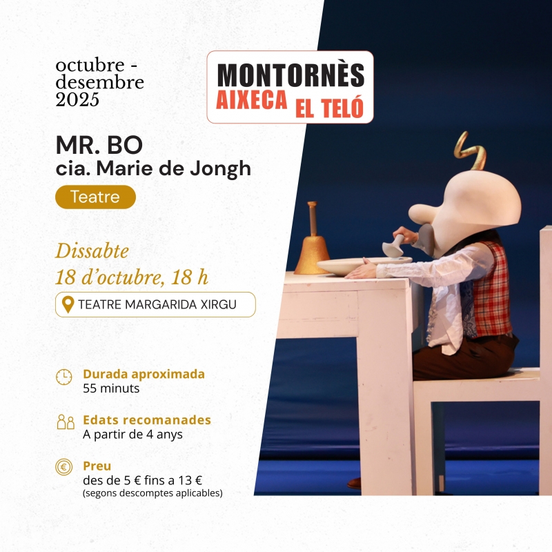 Cartell de l'obra  "Mr Bo".