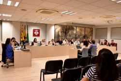 Ple ordinari del mes d'octubre de 2025