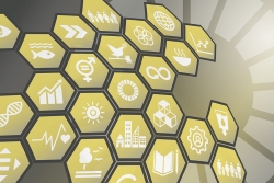 Imatge de l’Anuari d’Emprenedoria, Economia i Innovació Social 2025.