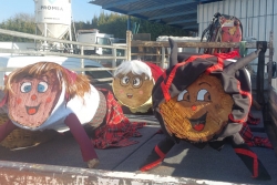 Alguns dels tions abans de ser traslladats al seu destí.