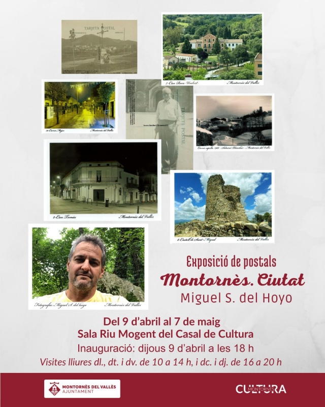 Cartell de l'activitat.