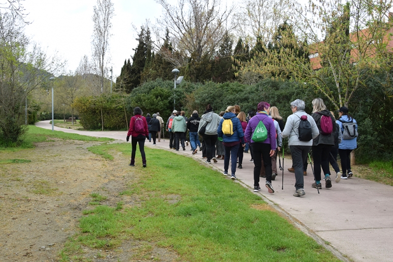 Un moment de la caminada pel Torrent de les Vinyes Velles.
