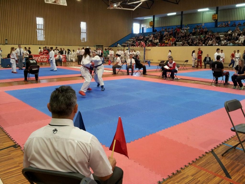 Un moment de la competició celebrada dissabte al Pavelló Municipal d'Esports