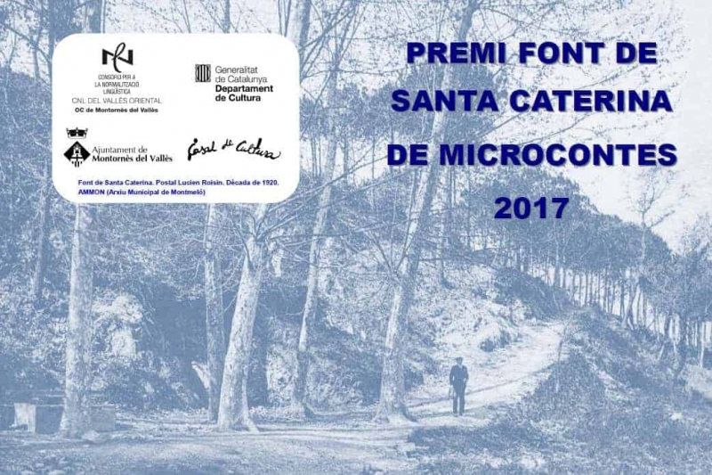 VII Premi Font de Santa Caterina de Microcontes