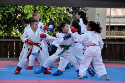 Una de les demostracions de karate