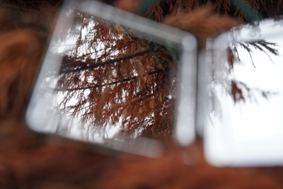 Imatge guanyadora de la temàtica "Reflexos". Autora: Anca Grozea