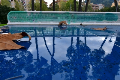 Imatge guanyadora de la temàtica "Reflexos". Autor: Mariano Pérez