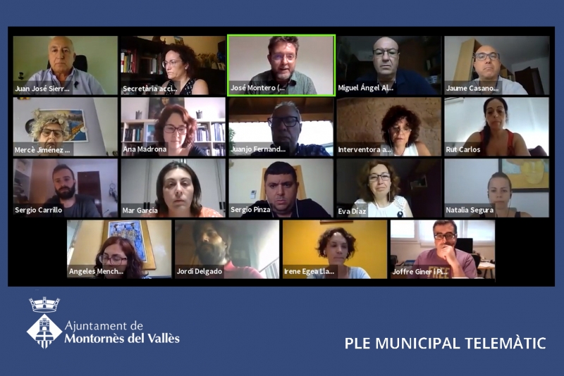 Ple telemàtic de l'Ajuntament de Montornès (Captura de la sessió del 2 de juliol de 2020)