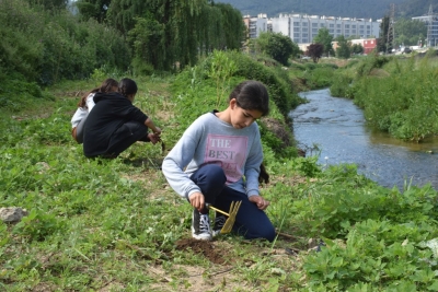Un moment de la plantada.