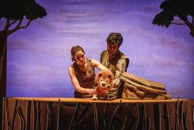 "Les aventures del lleó vergonyós"