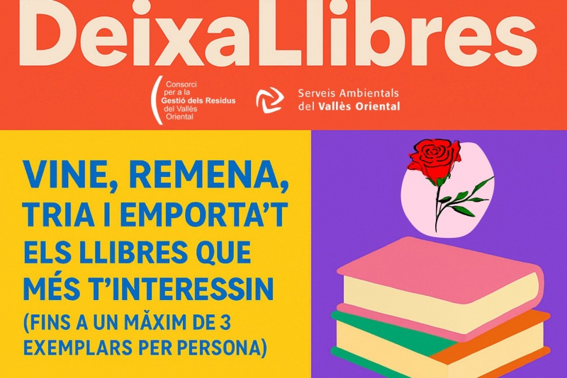 Cartell de l'activitat.