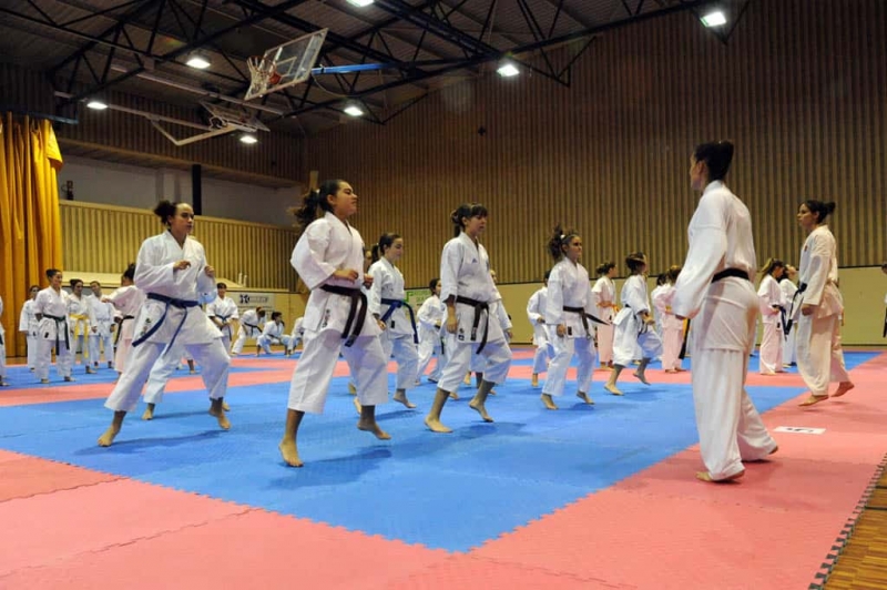 Actuació del Club Karate Montornès durant el Torneig de karate Sant Sadurní (2012) 
