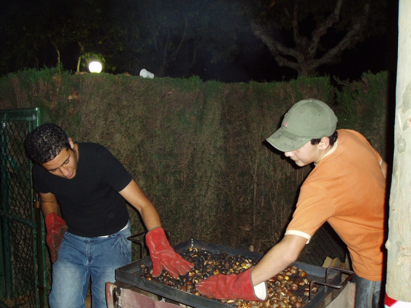 Castanyada jove 2005