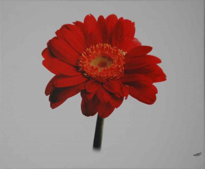 Fotografia de Gerardo Rebentisch