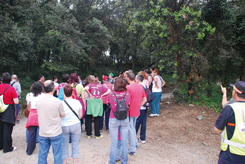 Excursió inclosa al fascicle número 9 dedicat a les pinedes de Montornès