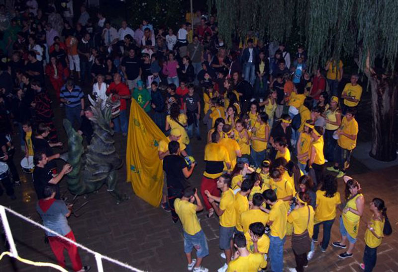 Imatge de la cercavila 2008