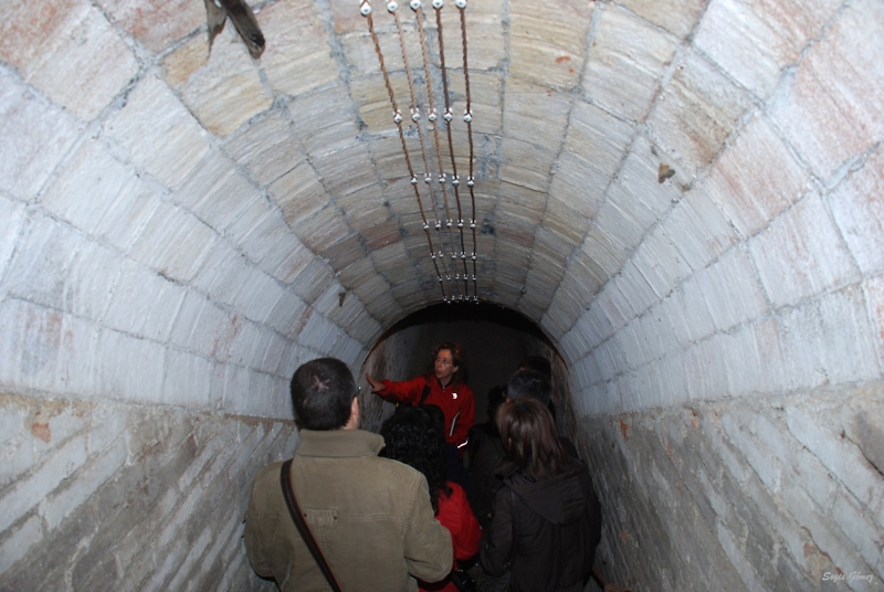 Imatge de la darrera visita al refugi el 28 de novembre de 2009. Foto: Segis Gómez