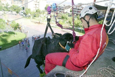 Exhibició de Protecció Civil a la plaça de Pau Picasso