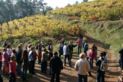 Excursió a les vinyes de Montornès inclosa al desè fascicle de la col·lecció Estimo Montornès (novembre 2008)