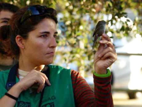 Jornada d'observació dels ocells