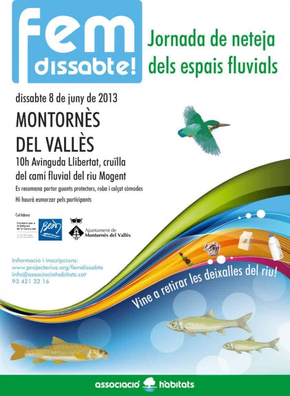 Cartell del "Fem Dissabte!"