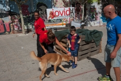20/09/2014 - Demostració de la Unitat Canina de l'AVPCM