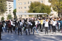 La canço escollida per al flashmob ha estat "Break the chain", de Tina Clark