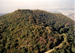 Vista aèria del turó del castell 