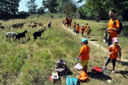 Excursió a Can Galbany inclosa en la programació del Casal d'estiu