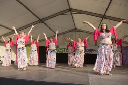 Festival de danses