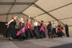 Festival de danses