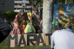 XIII Marató de Contes 