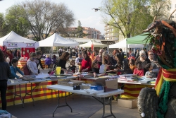 Sant Jordi a la plaça de Pau Picasso