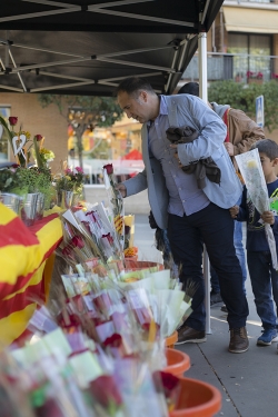 Sant Jordi a la plaça de Pau Picasso