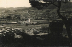 Zona industrial des del turó de les Tres Creus. Dècades dels 60 i dels 70 del segle XX. Postal edicions Ollé. Cedida per en Josep Saborit.